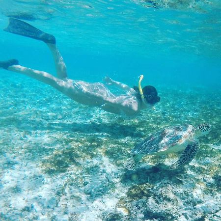 Tropical House Bungalows Gili Trawangan Luaran gambar